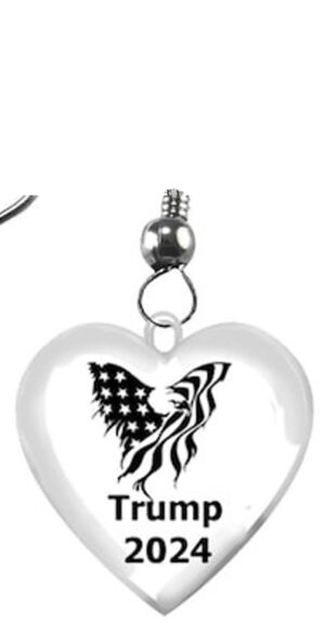 EAGLE, American Flag Wings, Trump 2024, Surgical Steel Fish Hook Earring. What A Wonderful Gift For Yourself, Or A Friend, Or A Family Member, Or As A Donor Gift. Hypoallergenic-Safe.Nickel,Lead, Cadmium Free. ©2022